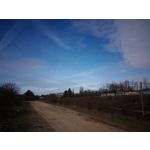 Pictures by this phone Asus ZenFone Max ZC550KL