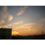 Pictures by this phone Asus ZenFone Max ZC550KL