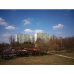 Pictures by this phone Asus ZenFone Max ZC550KL