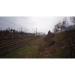 Pictures by this phone Asus ZenFone Max ZC550KL