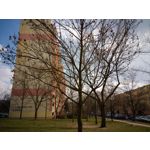 Pictures by this phone Asus ZenFone Max ZC550KL