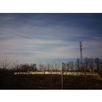 Pictures by this phone Asus ZenFone Max ZC550KL
