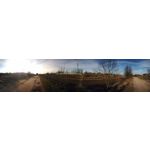 Pictures by this phone Asus ZenFone Max ZC550KL