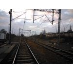 Pictures by this phone Asus ZenFone Max ZC550KL