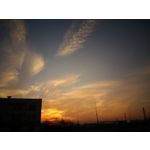 Pictures by this phone Asus ZenFone Max ZC550KL