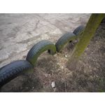 Pictures by this phone Asus ZenFone Max ZC550KL