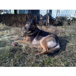 PICTURES FROM THIS PHONE