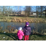 PICTURES FROM THIS PHONE