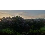 LAS FOTOS HECHAS CON ESTE TELÉFONO