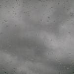 PICTURES FROM THIS PHONE