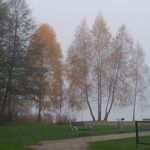 来自这款手机的图片