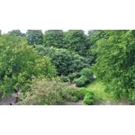 IMAGENS DESTE TELEFONE