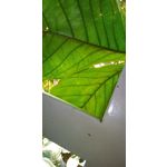 ФОТКИ СНЯТЫЕ ДАННЫМ МОБИЛЬНИКОМ