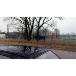 FOTOS AUS DIESEM HANDY