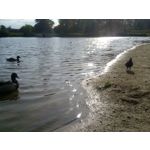 Foto dei utenti Bluboo Picasso Foto dei utenti Bluboo Picasso