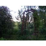 Foto dei utenti Bluboo Picasso Foto dei utenti Bluboo Picasso