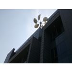 Foto dei utenti Bluboo Picasso Foto dei utenti Bluboo Picasso