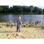 Foto dei utenti Bluboo Picasso Foto dei utenti Bluboo Picasso