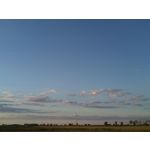 Foto dei utenti Bluboo Picasso Foto dei utenti Bluboo Picasso