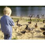 Foto dei utenti Bluboo Picasso Foto dei utenti Bluboo Picasso