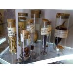 Foto dei utenti Bluboo Picasso Foto dei utenti Bluboo Picasso