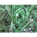 PICTURES FROM THIS PHONE