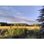 PHOTOS FAITES AVEC CE SMARTPHONE