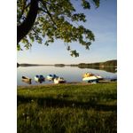 Pictures by this phone Coolpad Modena 2