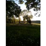 Pictures by this phone Coolpad Modena 2