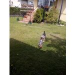 FOTO FATTE CON QUESTO TELEFONO