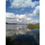 FOTO FATTE CON QUESTO TELEFONO