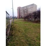 PHOTOS FAITES AVEC CE SMARTPHONE