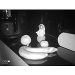 LAS FOTOS HECHAS CON ESTE TELÉFONO