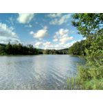 FOTOS AUS DIESEM HANDY