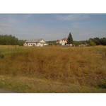 來自這款手機的圖片