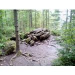 FOTO FATTE CON QUESTO TELEFONO