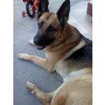 FOTO FATTE CON QUESTO TELEFONO