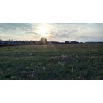 IMAGENS DESTE TELEFONE