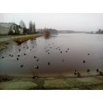 用戶照片 Goclever Quantum 2 500 Rugged