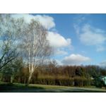 用戶照片 Goclever Quantum 2 500 Rugged