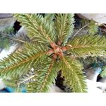 用戶照片 Goclever Quantum 2 500 Rugged