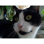 用戶照片 Goclever Quantum 2 500 Rugged