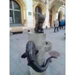 用戶照片 Goclever Quantum 2 500 Rugged