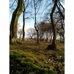 用戶照片 Goclever Quantum 2 500 Rugged