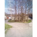 Pictures by this phone Goclever Quantum 3 500 Lite