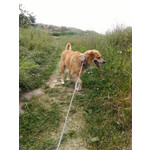 Imágenes de los usuarios Goclever Quantum 600 Imágenes de los usuarios Goclever Quantum 600