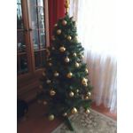 PHOTOS FAITES AVEC CE SMARTPHONE