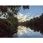 LAS FOTOS HECHAS CON ESTE TELÉFONO