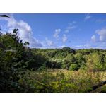 LAS FOTOS HECHAS CON ESTE TELÉFONO