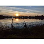 LAS FOTOS HECHAS CON ESTE TELÉFONO